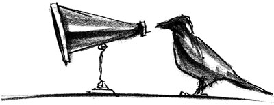 The Language Of Crows